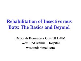 Rehabilitation of Insectivorous Bats: The Basics and Beyond