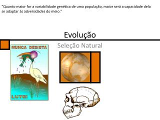 evolu o