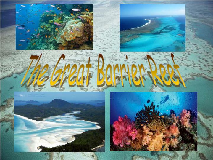 Ppt The Great Barrier Reef Powerpoint Presentation Free Download Id