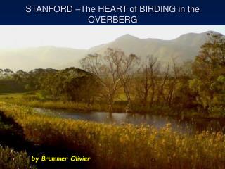 STANFORD –The HEART of BIRDING in the OVERBERG