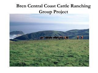 Bren Central Coast Cattle Ranching Group Project