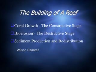 The Building of A Reef