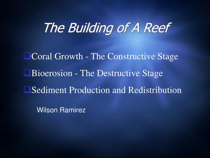 the building of a reef