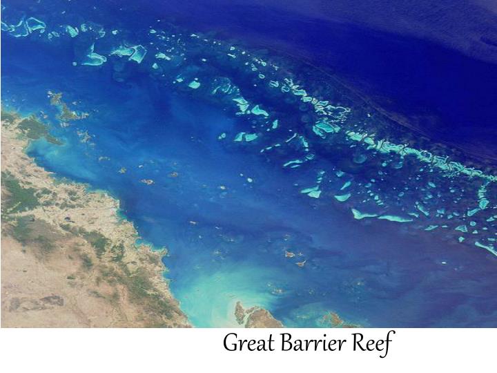 great barrier reef