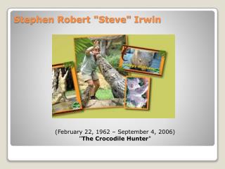 Stephen Robert &quot;Steve&quot; Irwin