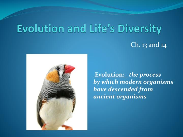 evolution and life s diversity