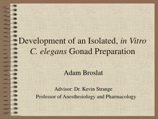 Development of an Isolated, in Vitro C. elegans Gonad Preparation