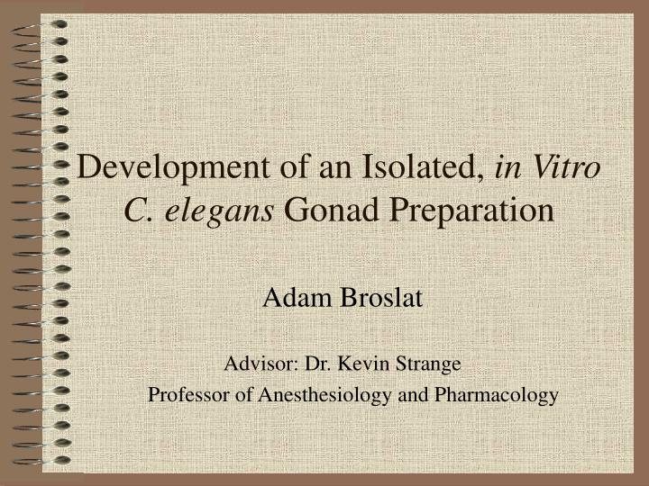 development of an isolated in vitro c elegans gonad preparation