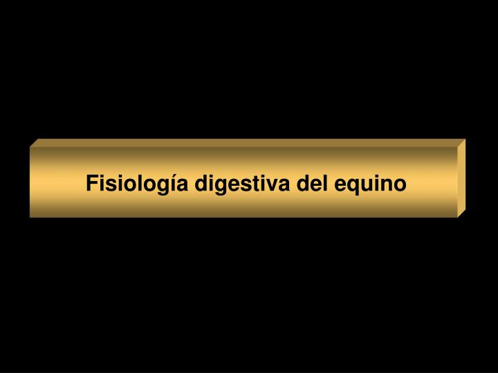 fisiolog a digestiva del equino