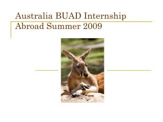 Australia BUAD Internship Abroad Summer 2009