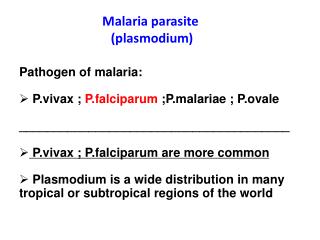 Malaria parasite (plasmodium)