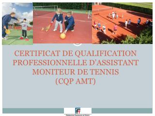 certificat de qualification professionnelle d assistant moniteur de tennis cqp amt