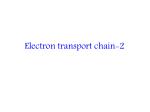 Electron transport chain-2 - slide 1
