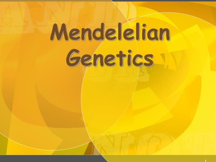 mendelelian genetics