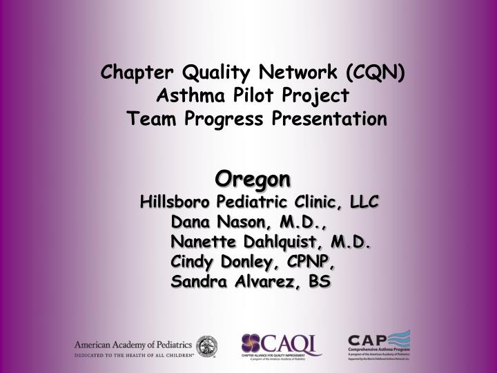 chapter quality network cqn asthma pilot project team progress presentation