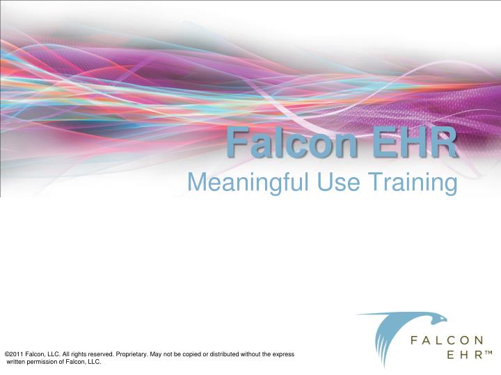 falcon ehr meaningful use training