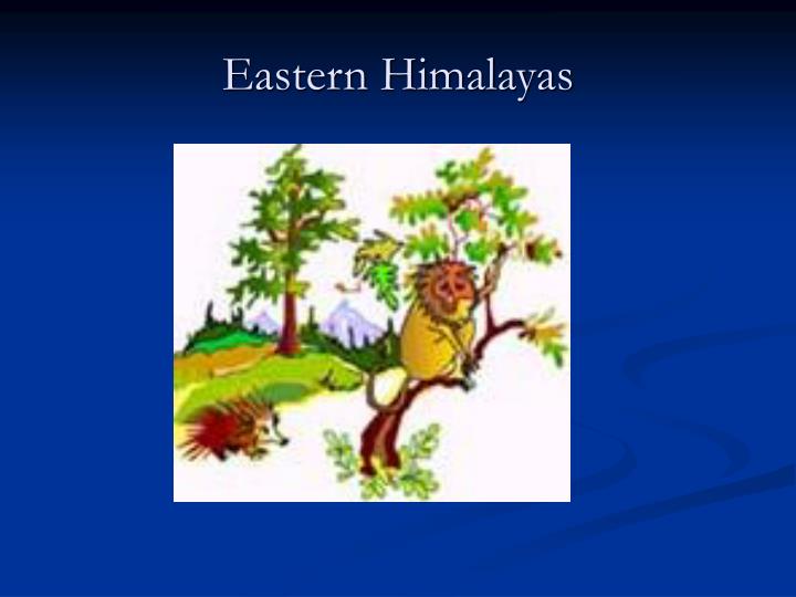 eastern himalayas