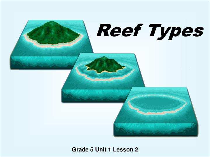reef types