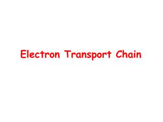 Electron Transport Chain