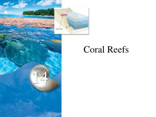 Coral Reefs