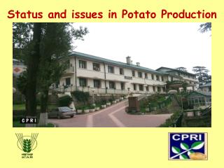 Status and issues in Potato Production