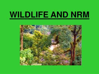 WILDLIFE AND NRM