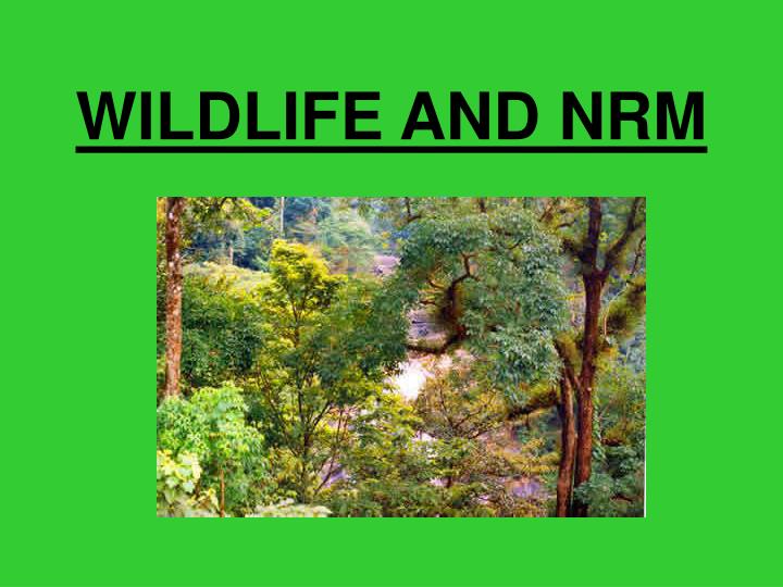 wildlife and nrm