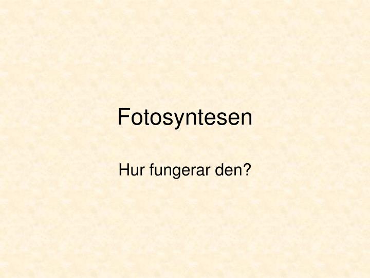 fotosyntesen