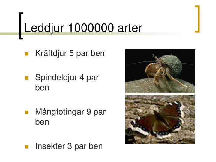 leddjur 1000000 arter