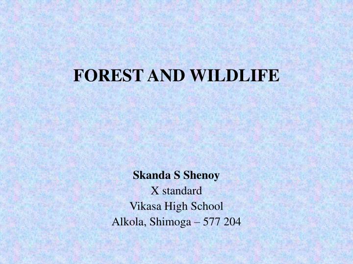 forest and wildlife
