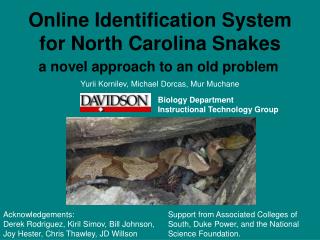 Online Identification System for North Carolina Snakes