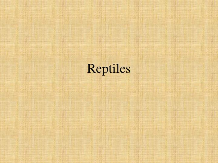 reptiles