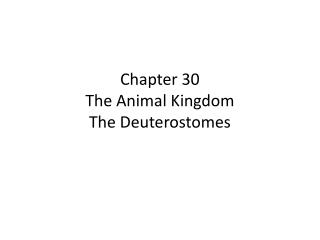 Chapter 30 The Animal Kingdom The Deuterostomes