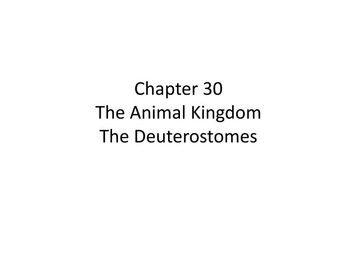 chapter 30 the animal kingdom the deuterostomes