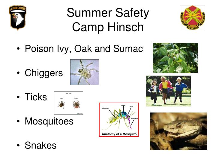 summer safety camp hinsch
