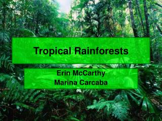 Tropical Rainforests