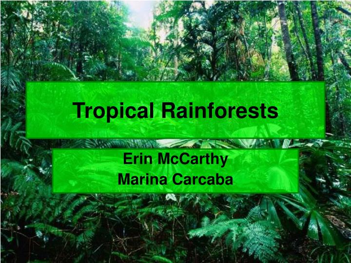 tropical rainforests