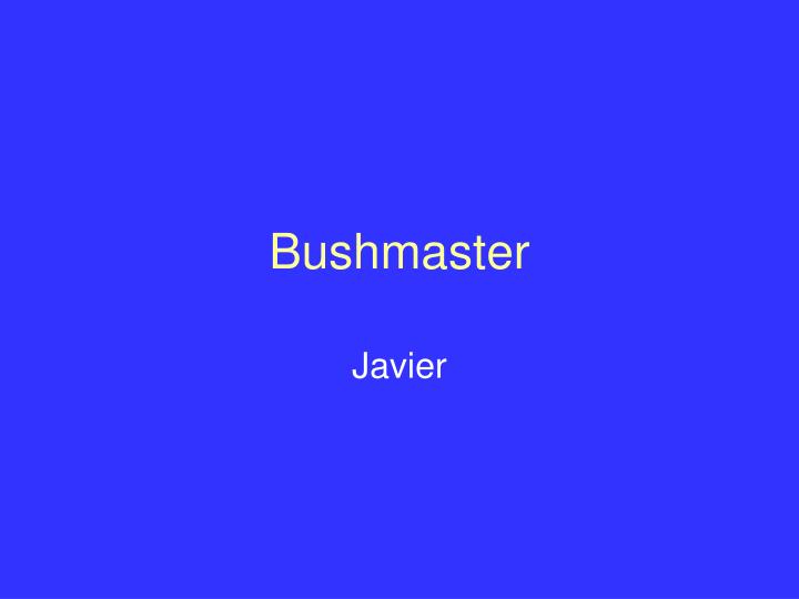 bushmaster