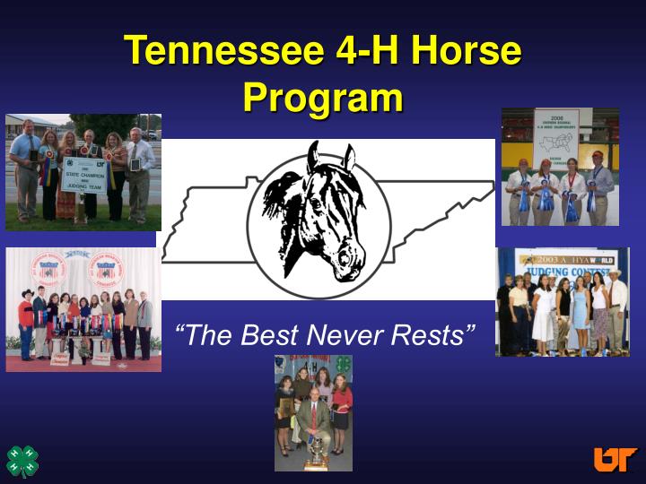 tennessee 4 h horse program