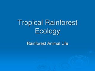 Tropical Rainforest Ecology