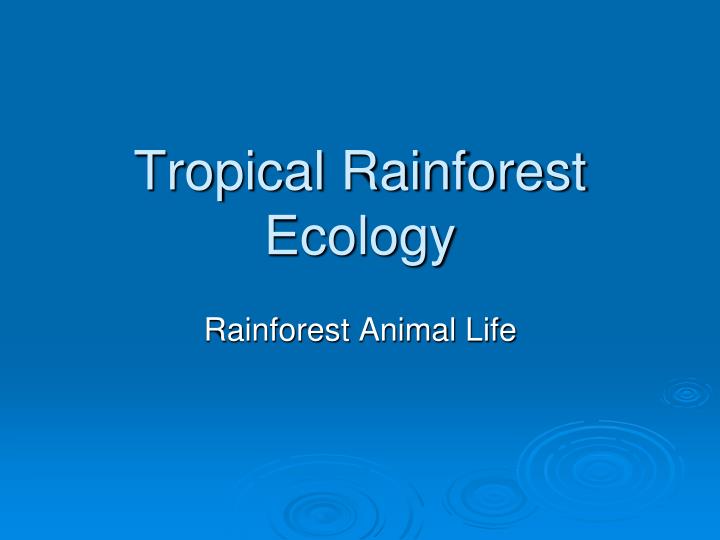 tropical rainforest ecology
