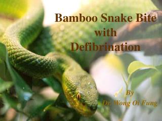 Bamboo Snake Bite with Defibrination