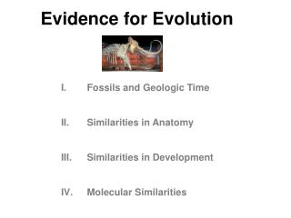 Evidence for Evolution