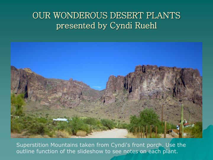 our wonderous desert plants presented by cyndi ruehl