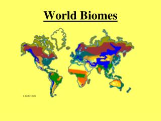 World Biomes