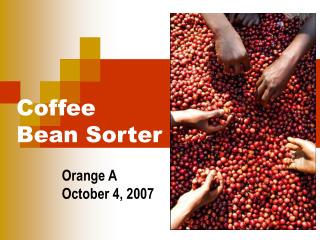 Coffee Bean Sorter