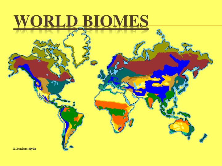 world biomes