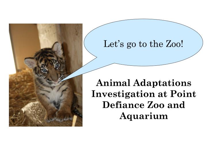 animal adaptations investigation at point defiance zoo and aquarium