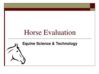 Horse Evaluation