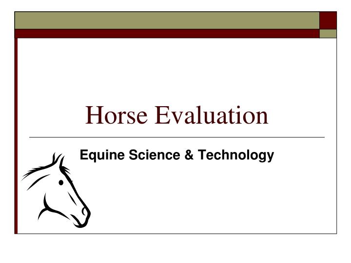 horse evaluation